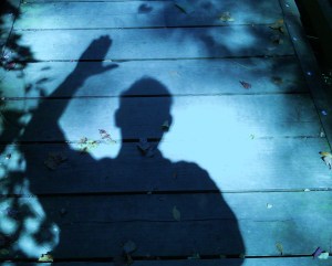 Rowan Oak Background Pictures for Blog 040