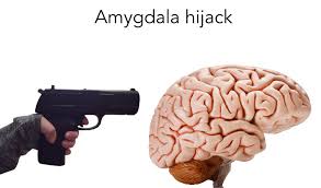 Amygdala hijack